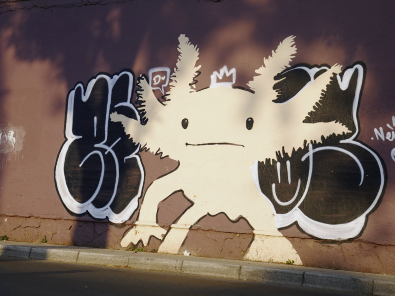 Axolotl graffiti on the side of a building