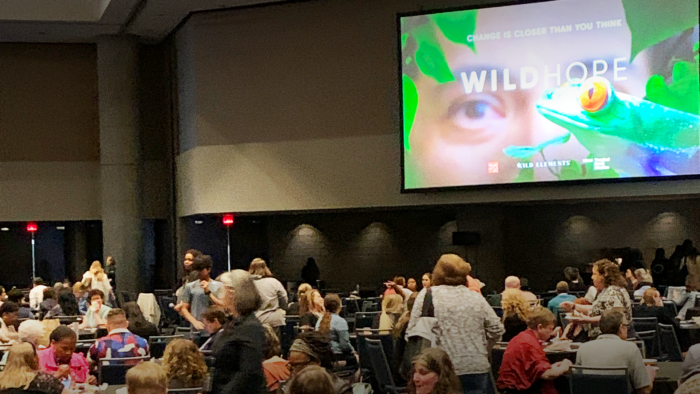 a wild hope screening event