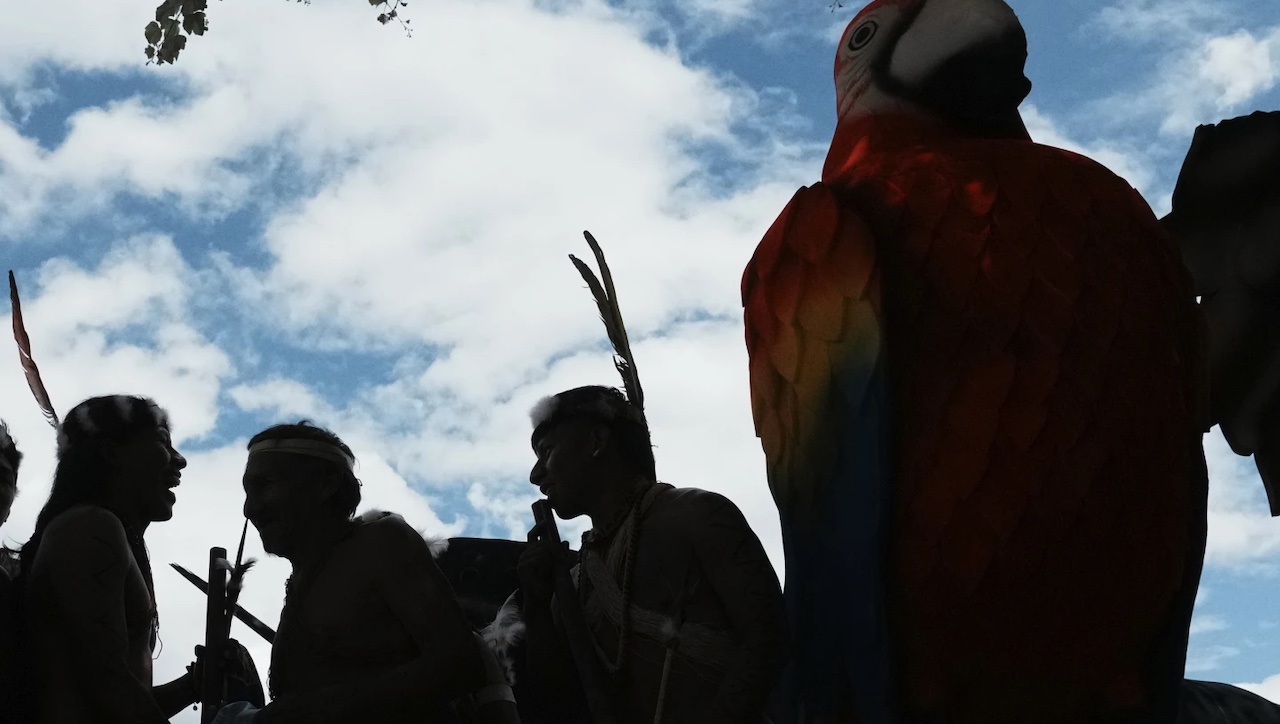 Ecuadorians reject oil drilling in the Amazon, ending operations in protected area