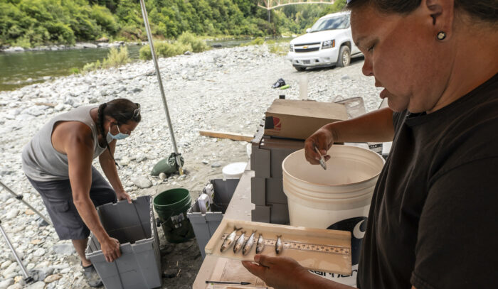 fisheries technicians