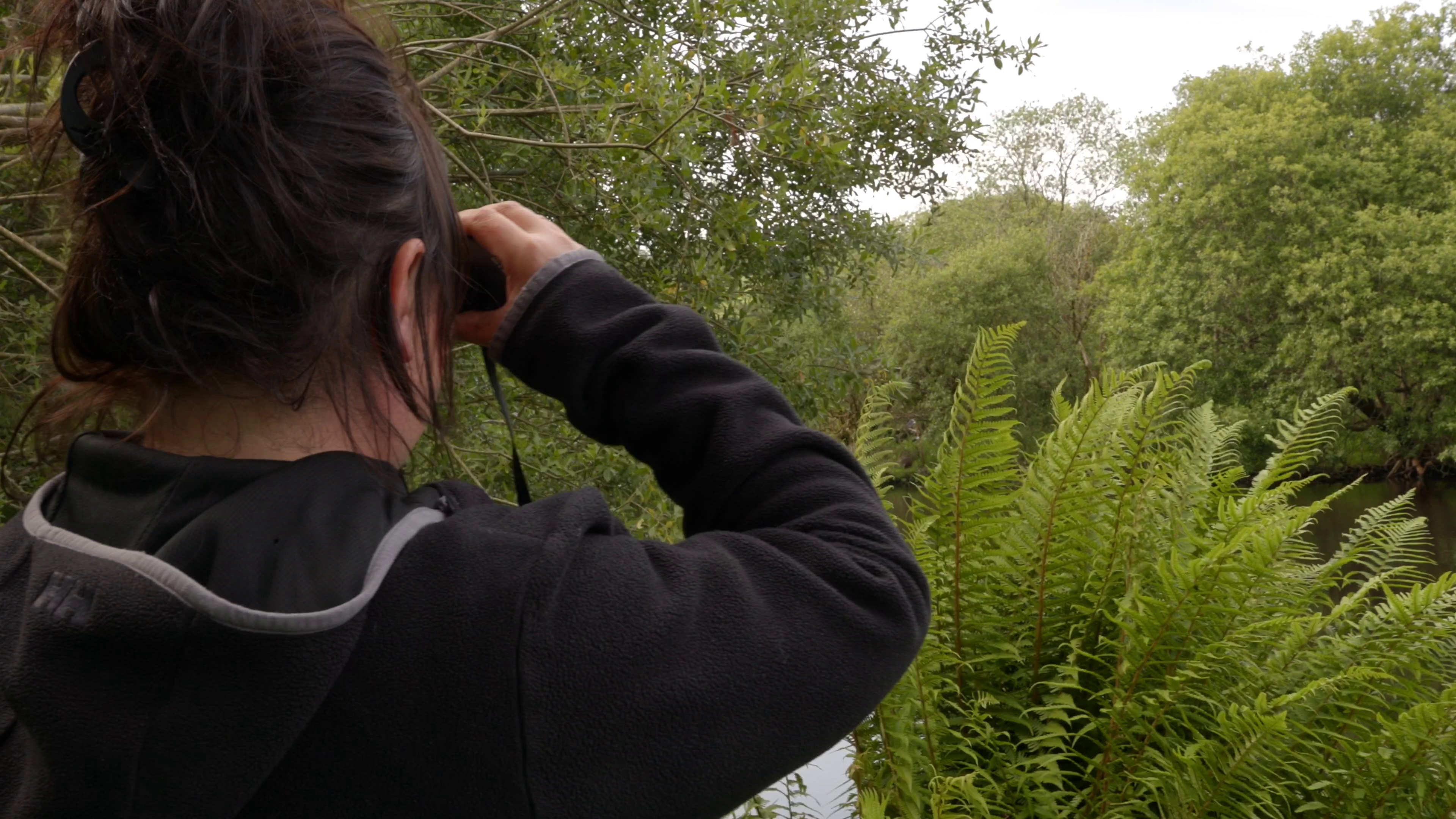 a biologist looking for beavers with binoculars