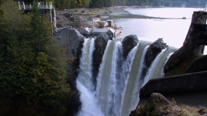 dam removal