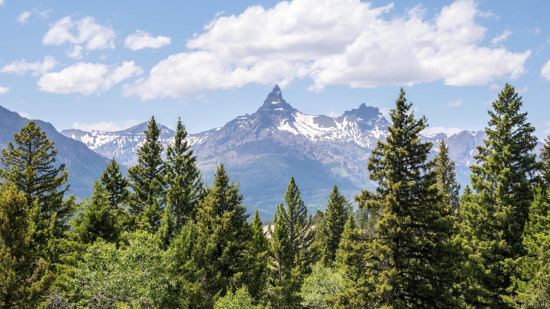 An overlooking view of nature in Custer National Forest, Montana