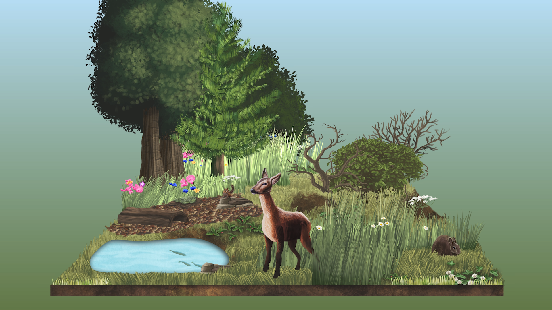 An artist's illustration of a rewilded area, with trees, flowers, grasses, a pond, and deer.