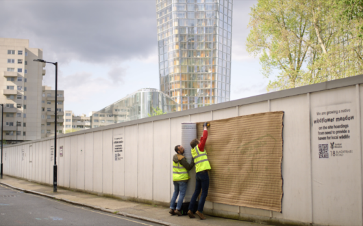 two people wearing safety vests attaching a panel for a vertical meadow in a European city.