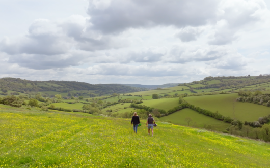 An English pastoral landscape with green grass and rolling hills.