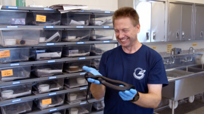 A smiling man in a t-shirt holding a snake.