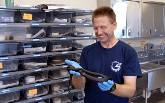 A smiling man in a t-shirt holding a snake.