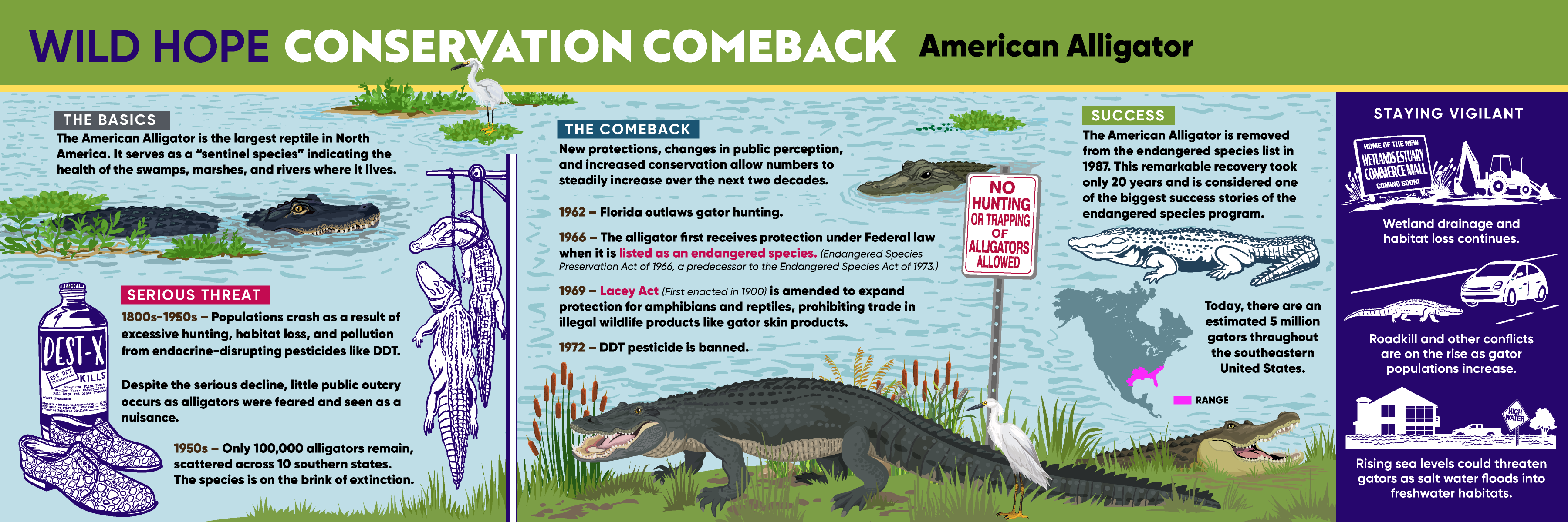 Innovation: US Fish and Wildlife Ban Salamander Trade