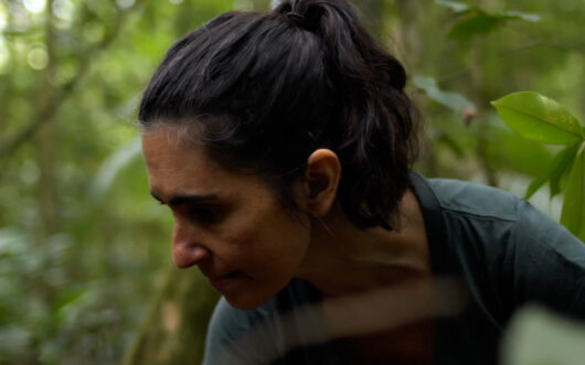 A woman with brown hair looking down in front of a forest backdrop.