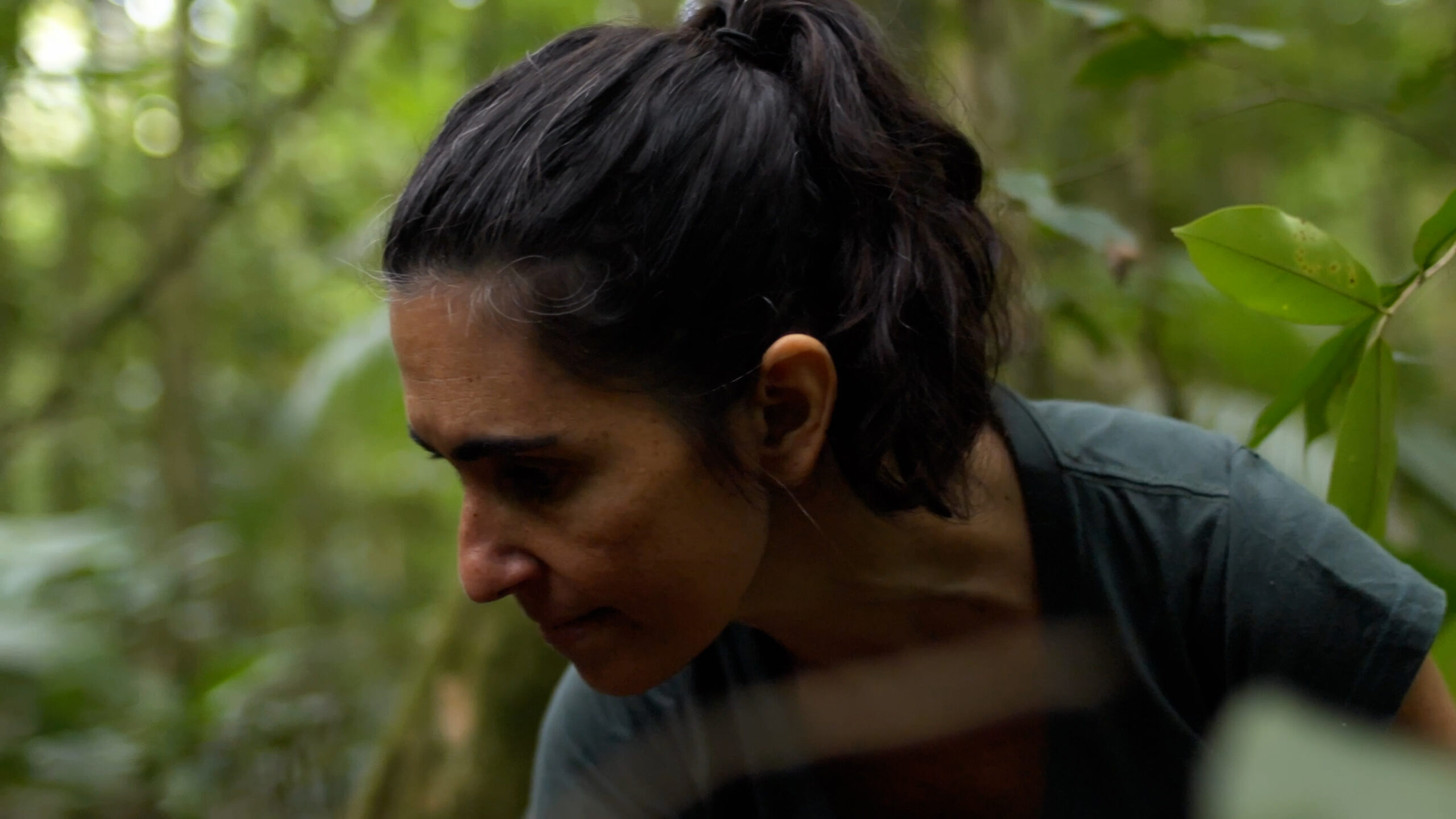 A woman with brown hair looking down in front of a forest backdrop.