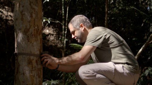 A man in a tan t-shirt kneels in a shadowy forest.