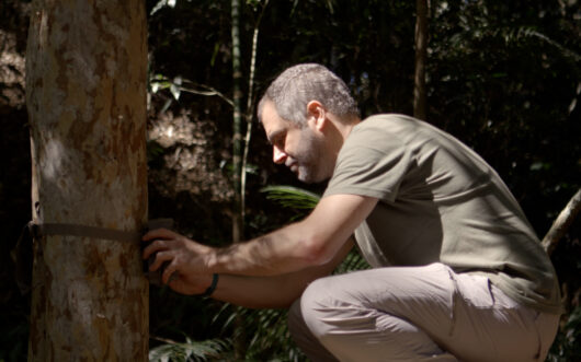 A man in a tan t-shirt kneels in a shadowy forest.