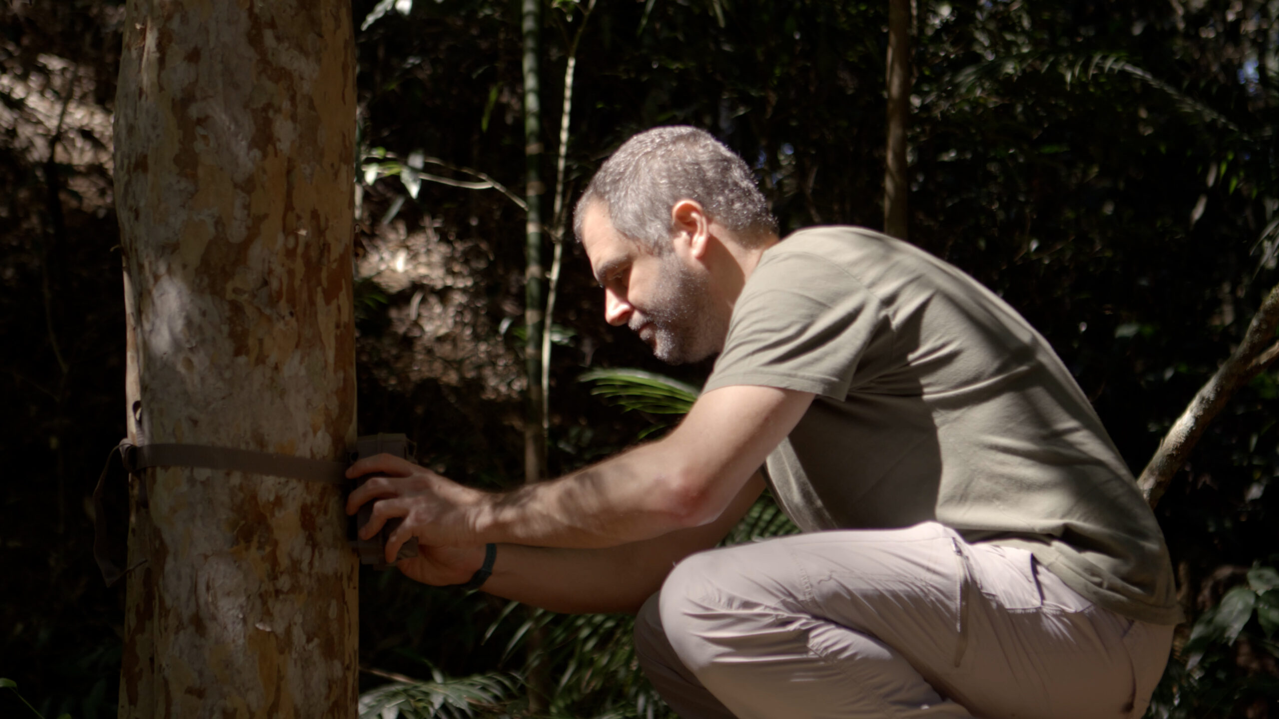 A man in a tan t-shirt kneels in a shadowy forest.