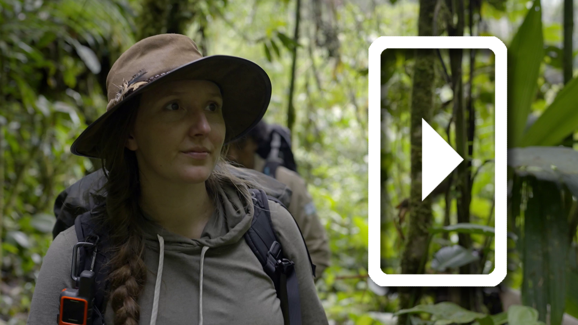 Protecting the Rights of Nature