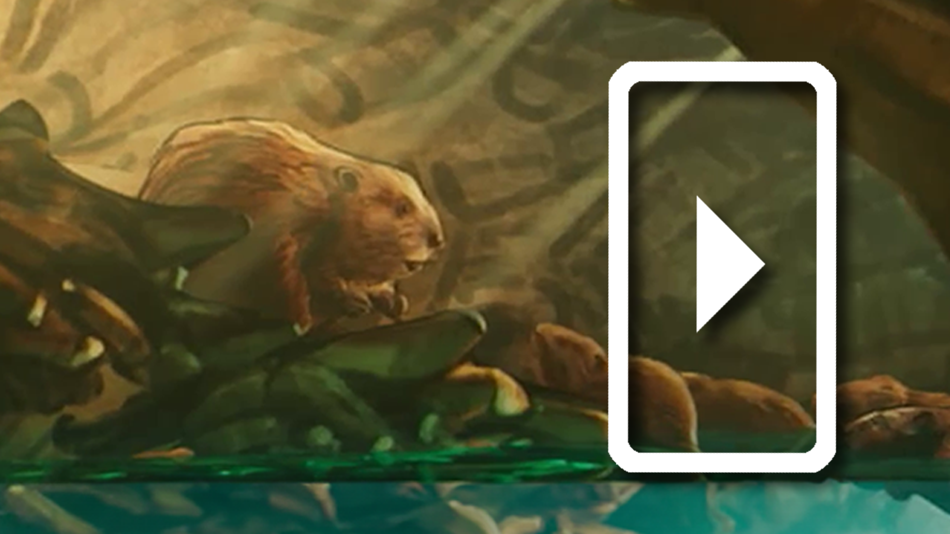 How Beaver Dams Are Built