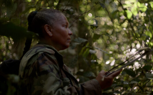 A woman with a green shirt standing in profile, in the shade of a forest.