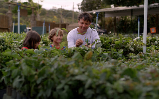 A man in a white shirt and two children stand in a plant nursery surrounded by saplings.