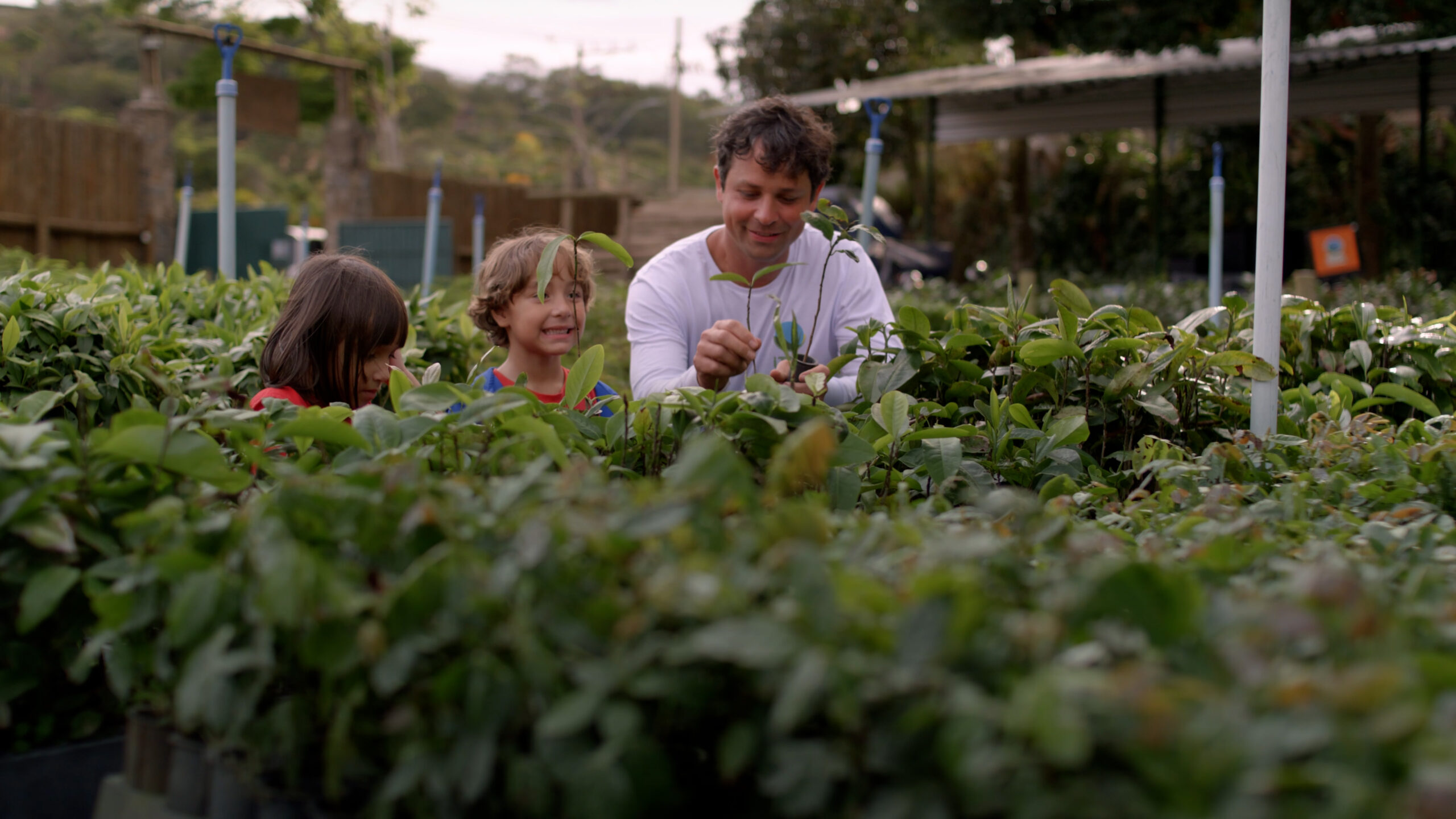 A man in a white shirt and two children stand in a plant nursery surrounded by saplings.