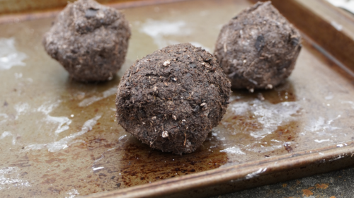 Three seed balls sit on a baking tray