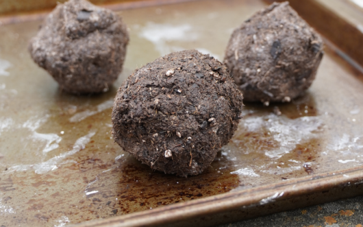 Three seed balls sit on a baking tray