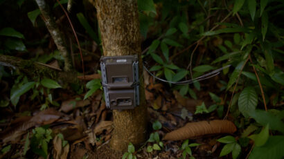 A camera trap on a tree trunk in a forest.