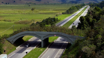 A wildlife crossing over a divided highway.