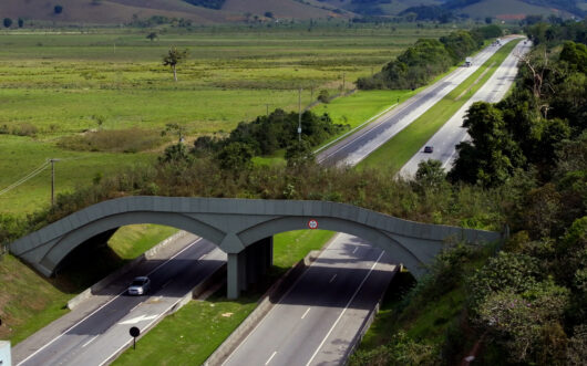 A wildlife crossing over a divided highway.