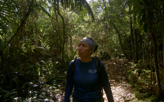 A woman walks in a shadowy rainforest.