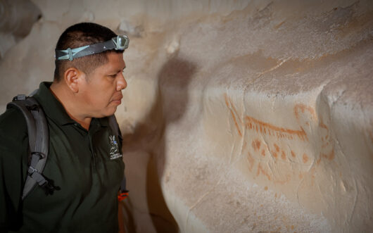 A man looks at a cave wall with a jaguar painted on it.
