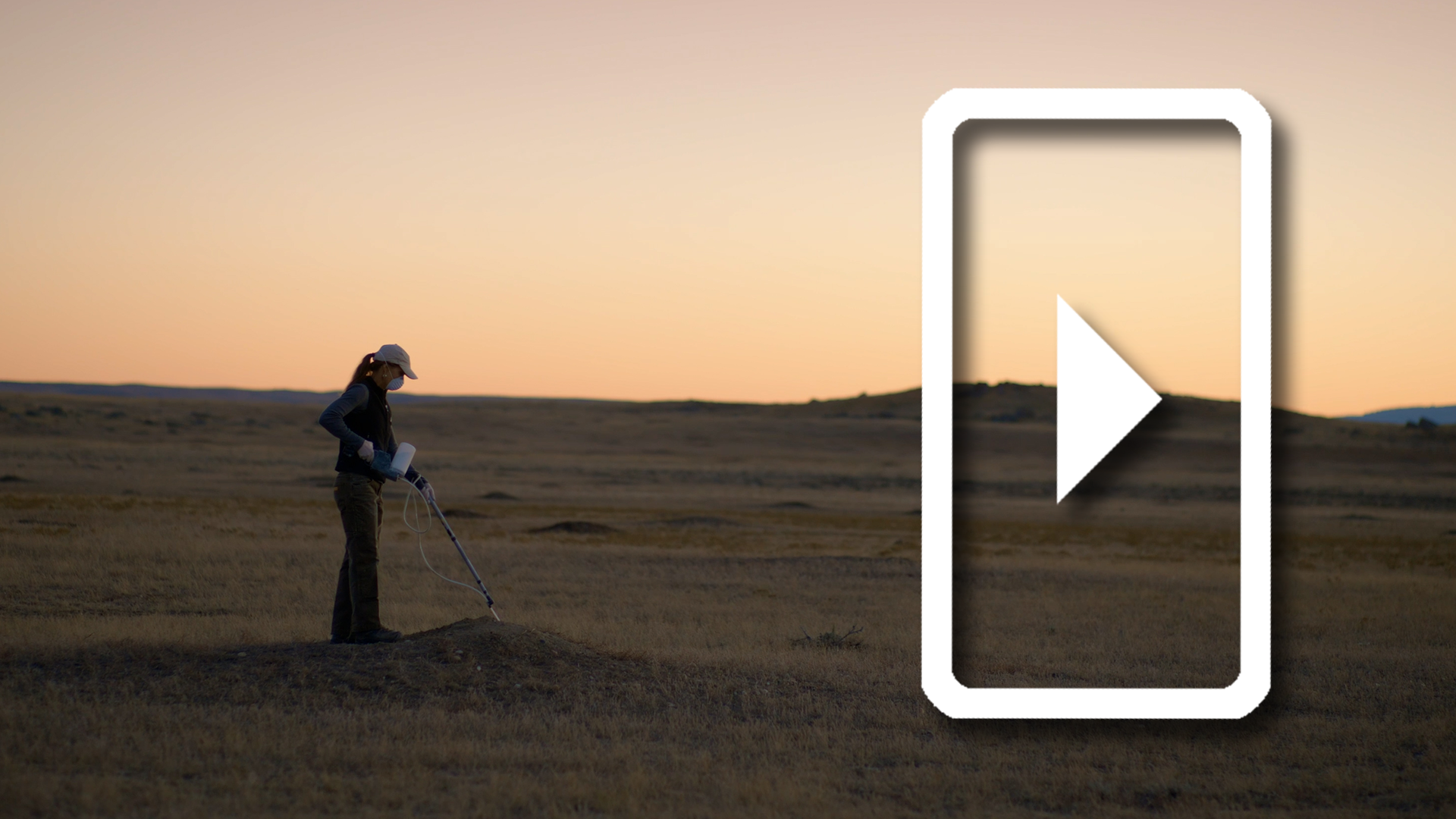 “Fip Bits” for Prairie Dogs!