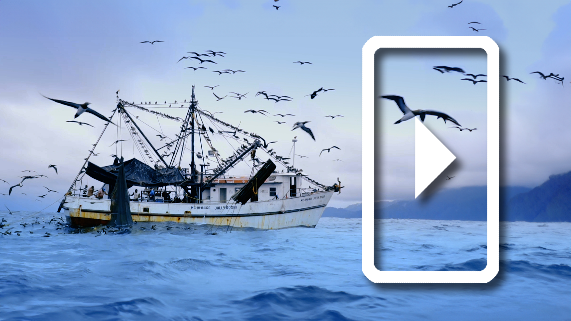 A Community Saves its Seas