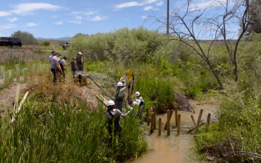 The Northwest Band of the Shoshone Tribe is partnering with scientists to bring back the biodiversity of Bear River.
