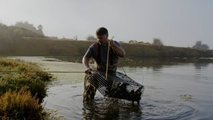 Brent Hughes is a marine ecologist working in Elkhorn Slough.