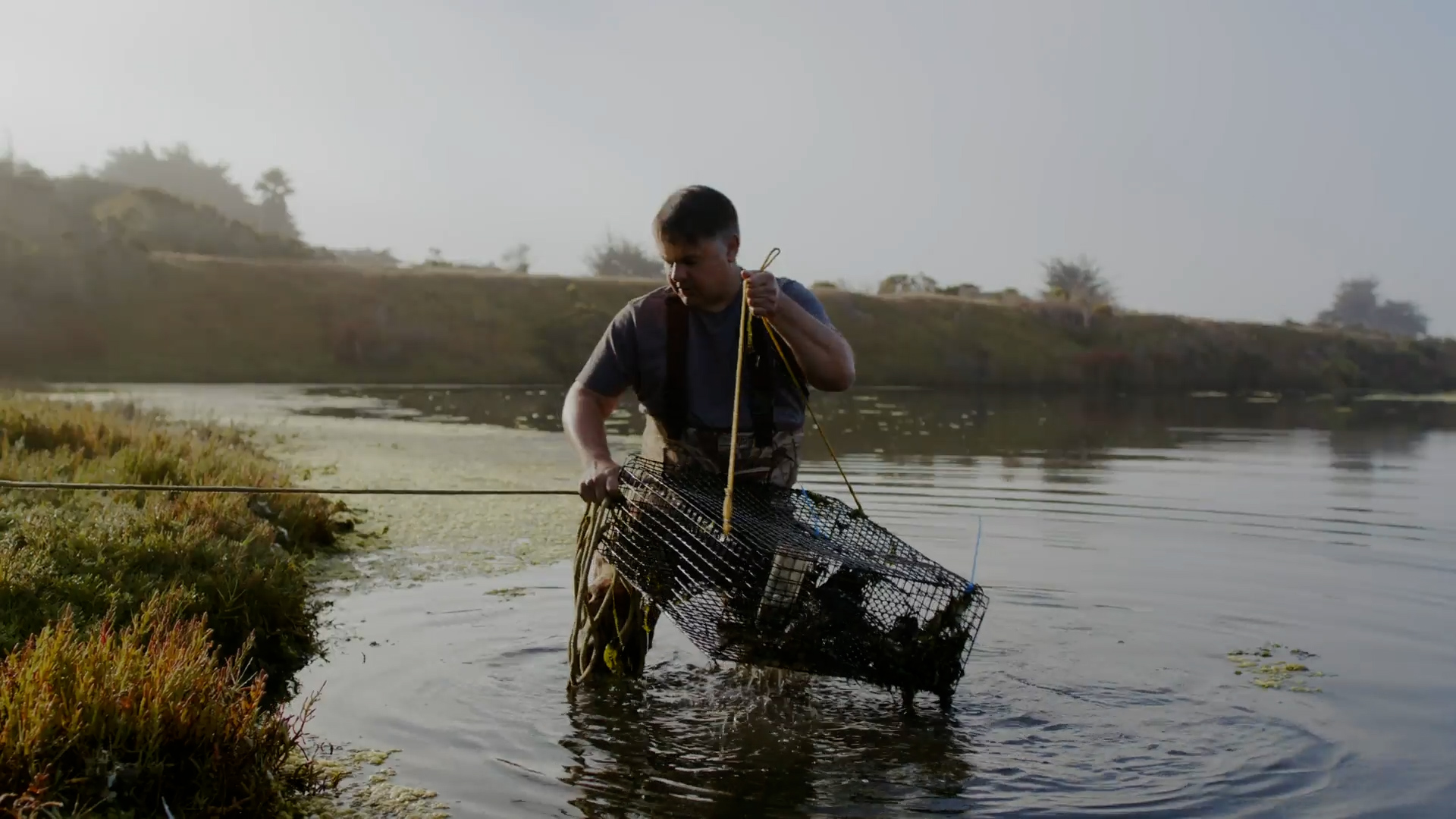 Brent Hughes is a marine ecologist working in Elkhorn Slough.