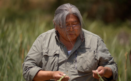 Traditional ecological knowledge encompasses understanding of a given ecosystem informed by centuries of accumulated knowledge.