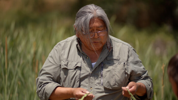 Traditional ecological knowledge encompasses understanding of a given ecosystem informed by centuries of accumulated knowledge.