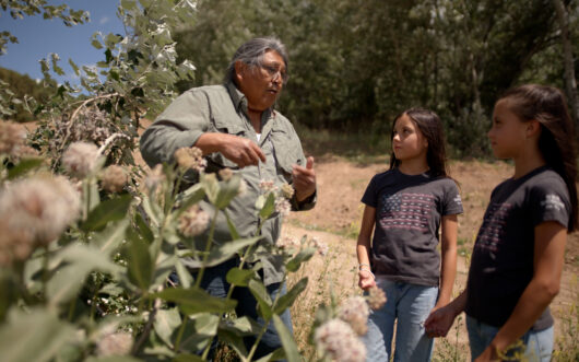 The Northwestern Band of the Shoshone Nation are reclaiming and revitalizing the Bear River ecosystem, combining traditional ecological knowledge and Western science.