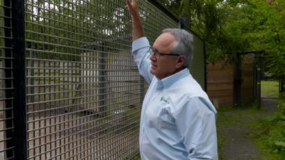Pat Thomas stands at the bison enclosure at the Bronx Zoo.