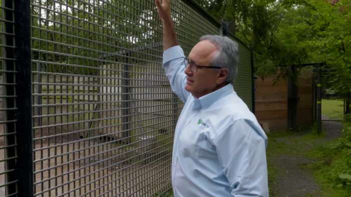 Pat Thomas stands at the bison enclosure at the Bronx Zoo.