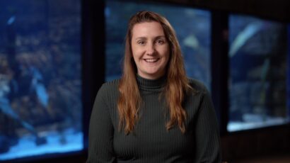Kim Cupples rehabilitates puffins in Iceland