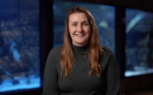 Kim Cupples rehabilitates puffins in Iceland