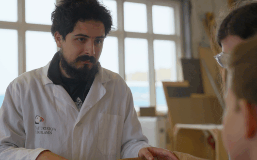 Lucas Canas studies puffins in Iceland.