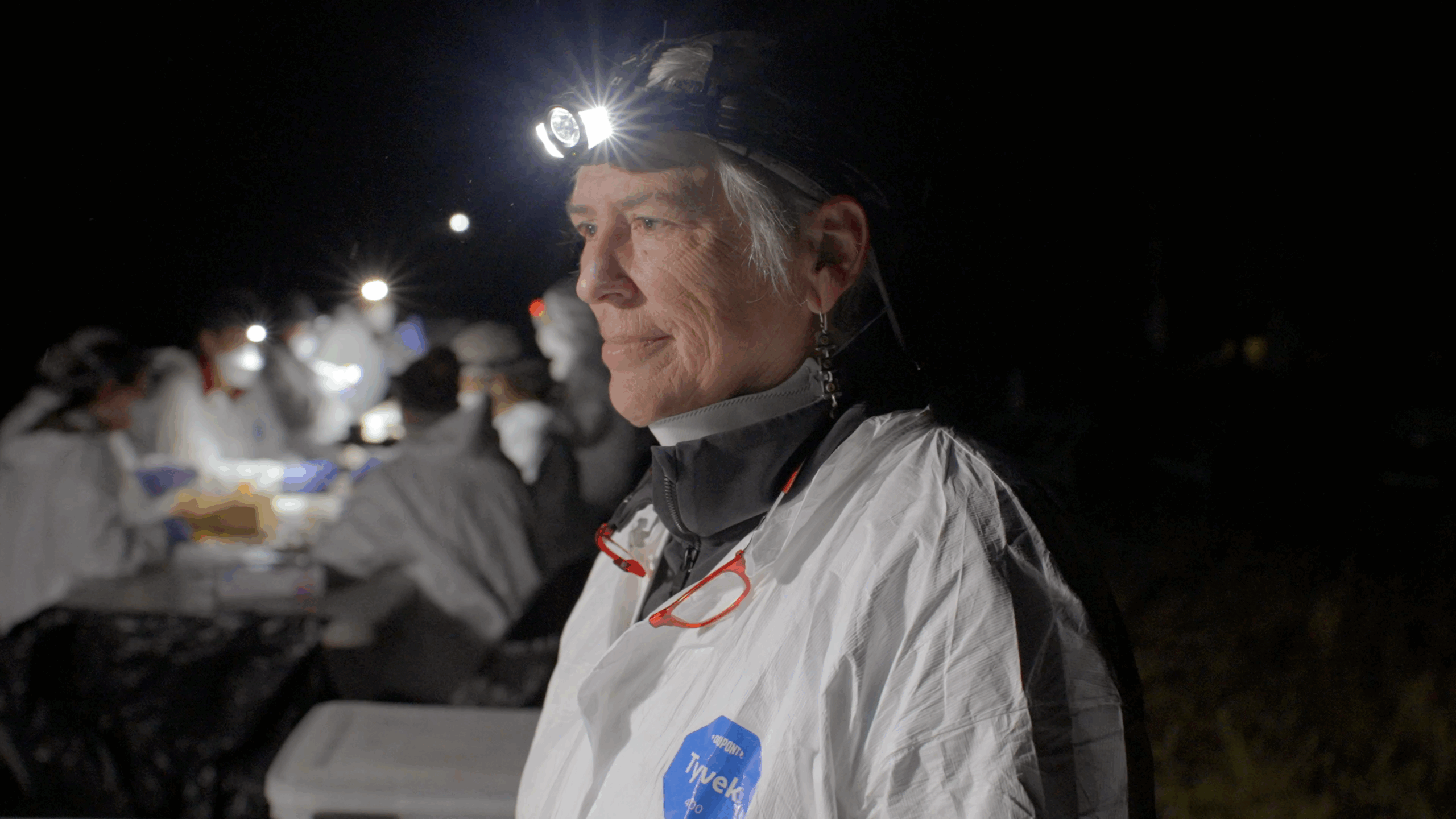 Tonie Rocke is a research epidemiologist working on a bat vaccine for white-nose syndrome.