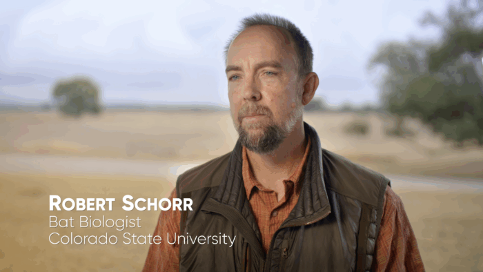 Rob Schorr has studied bats for 30 years.