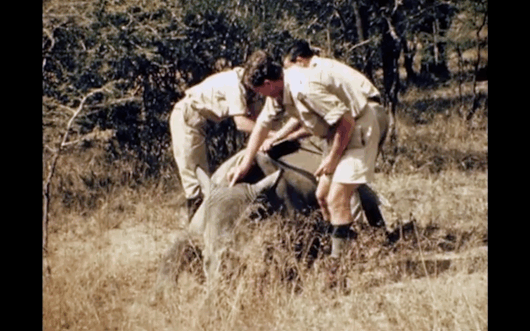 Operation Rhino in action