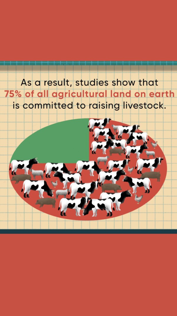 Be sure to see 🔗 link in bio for your free download infographic!Largescale animal agriculture has an immense impact on the planet. Did you know:

🌎 It’s responsible for more greenhouse gas emissions than the entire transportation sector.

🐄 Methane from cows is 28x more potent as a greenhouse gas than CO₂.

🌱 75% of agricultural land on earth is used for livestock.

🍔 It takes 25 pounds of feed per cow to produce just a single pound of edible beef. 

These challenges are daunting, but change is possible. In Wild Hope: Mission Impossible, scientist Pat Brown explores solutions that reforest agricultural lands, restore biodiversity, and fight climate change.

Download our infographic for more eye-opening facts and share it to inspire action.

WildHope PBSNature CarbonSequestering SustainableFarming Reforestation ConservationHeroes