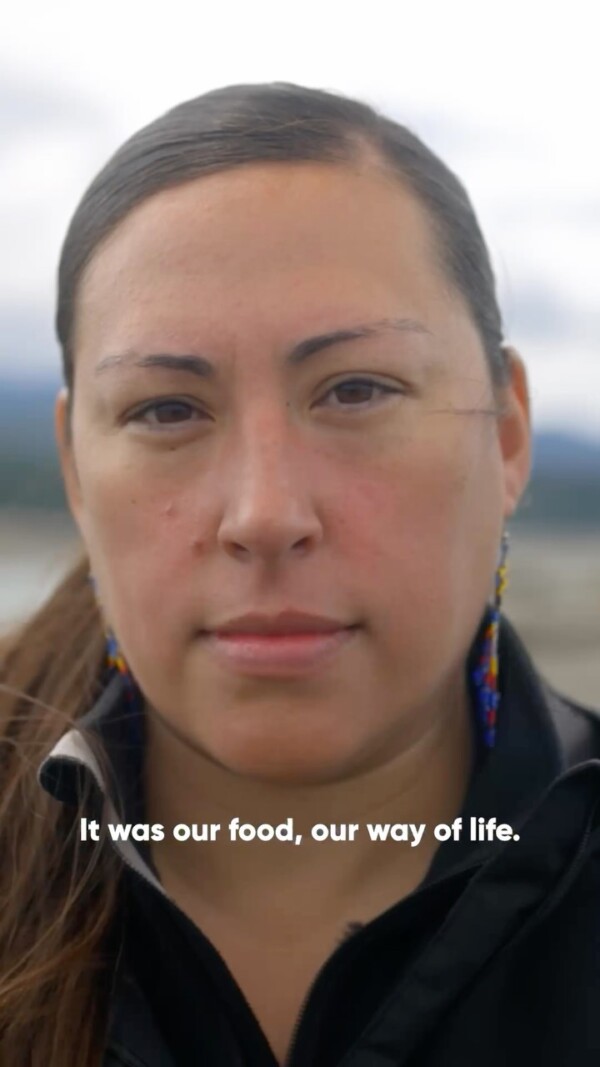 🌲 This Black Friday, let’s go green… Forest green! 🌿🌊 The Elwha River’s revival—featured in *Wild Hope: The Beautiful Undammed*—is one of the most inspiring ecological comeback stories in recent history. After two dams were removed, salmon 🐟 finally returned to the rivers, carrying vital nutrients from the ocean 🌎 to enrich the surrounding forests. 🌳 This renewal demonstrates the incredible effectiveness of reforestation efforts across the Pacific Northwest. 

🌱 In our most recent episode, *Wild Hope: Mission Impossible*, Pat Brown is converting a former cattle ranch 🐄 into a carbon-sequestering forest. 🌳 These efforts highlight how reforestation—whether along rivers or on ranches—can combat climate change 🌡️ and restore biodiversity. 🦋 

This season, let’s reflect on how we can take part in this global effort. 🌍 Opt outside, connect with nature 🌞, and share these inspiring episodes on **WildHope.tv** with anyone who might appreciate an alternative to Black Friday! 

🔗 Link in bio. 

WildHope PBSNature Reforestation ElwhaRiver CarbonSequestering ConservationHeroes OptOutside GreenFriday